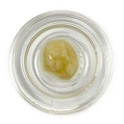 Cured Badder (Pre-Packed) - Gummiez - SkyTide Cannabis / Green Truck