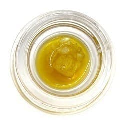 Live Diamonds (Pre-Packed) - Minneola - ERBA / Green Truck