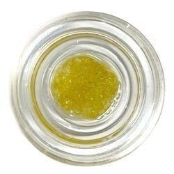 Refined Sugar (Pre-Packed) - Watermelon Gelato - B's Trees / GTF