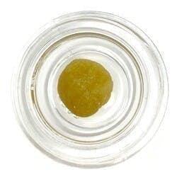Cured Badder (Pre-Packed) - Butter Stuff - Cup of Sun / GTF
