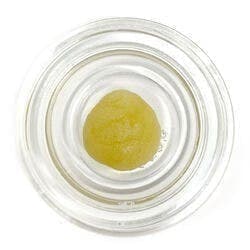 Cured Badder (Pre-Packed) - Animal Face x Kush Mintz - Northern Terps / GTF
