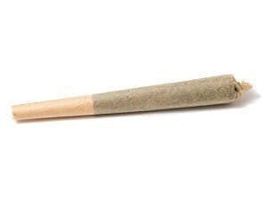 Malibu Mimosa 1g Preroll