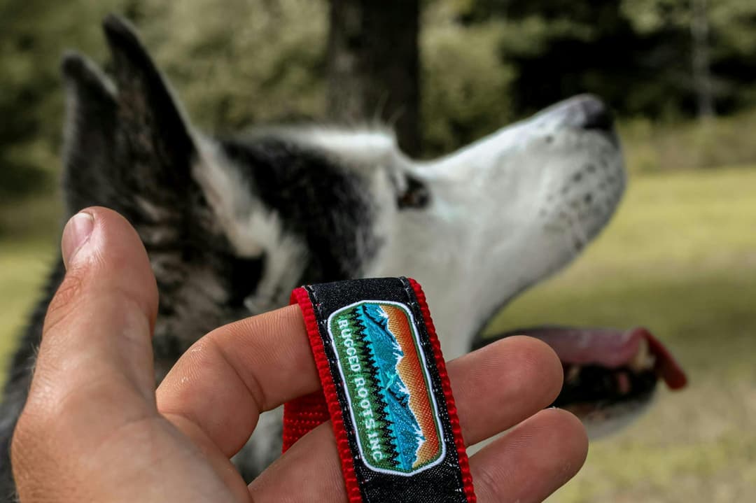Rugged Roots - Dog Leash