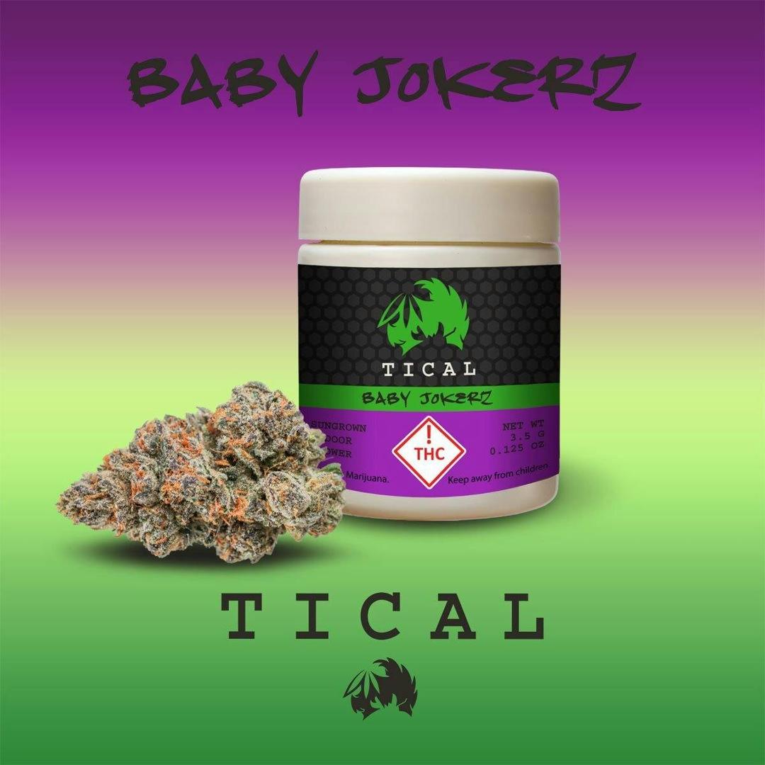 TICAL Baby Jokerz Eighth Flower (3.5 G)