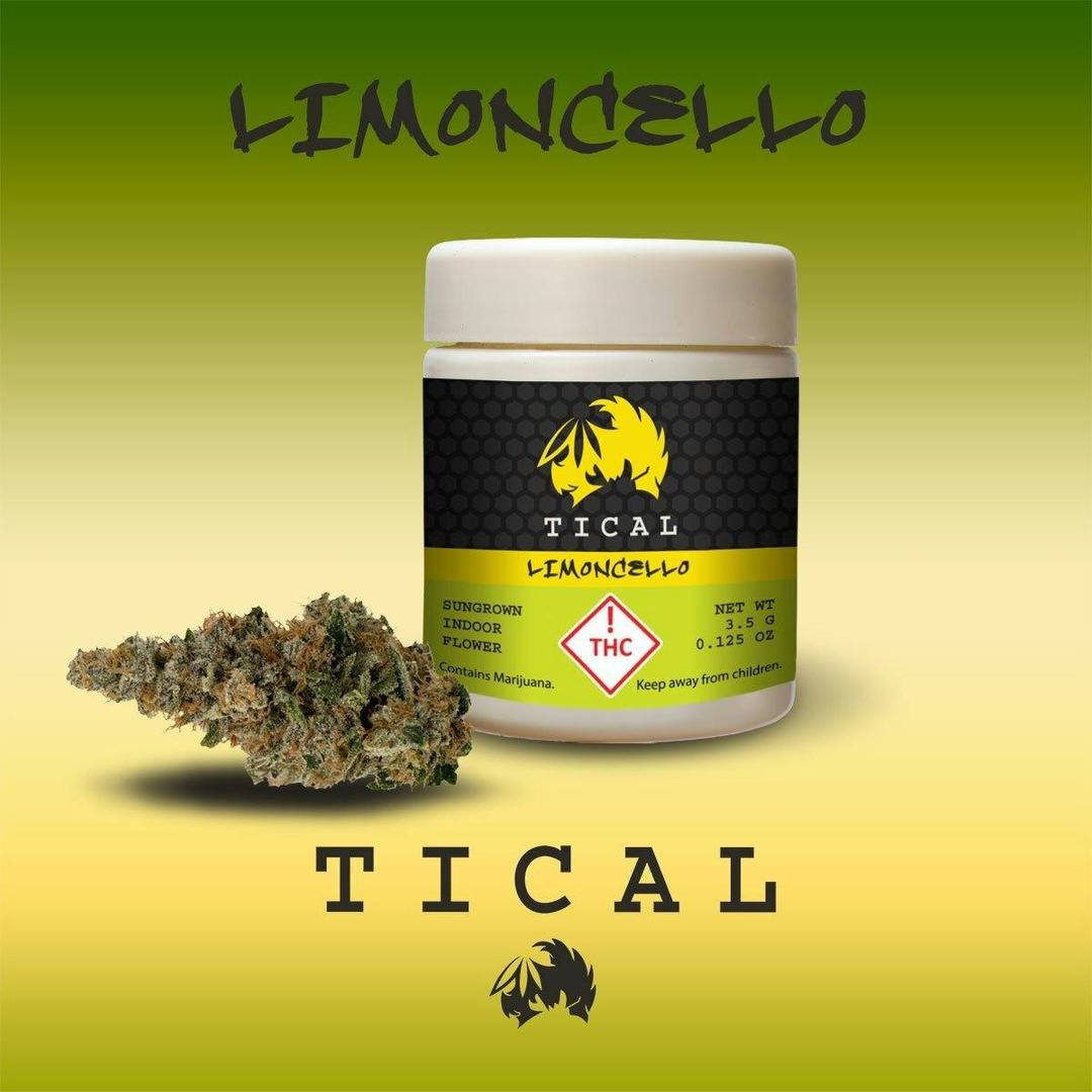 TICAL Limoncello Flower