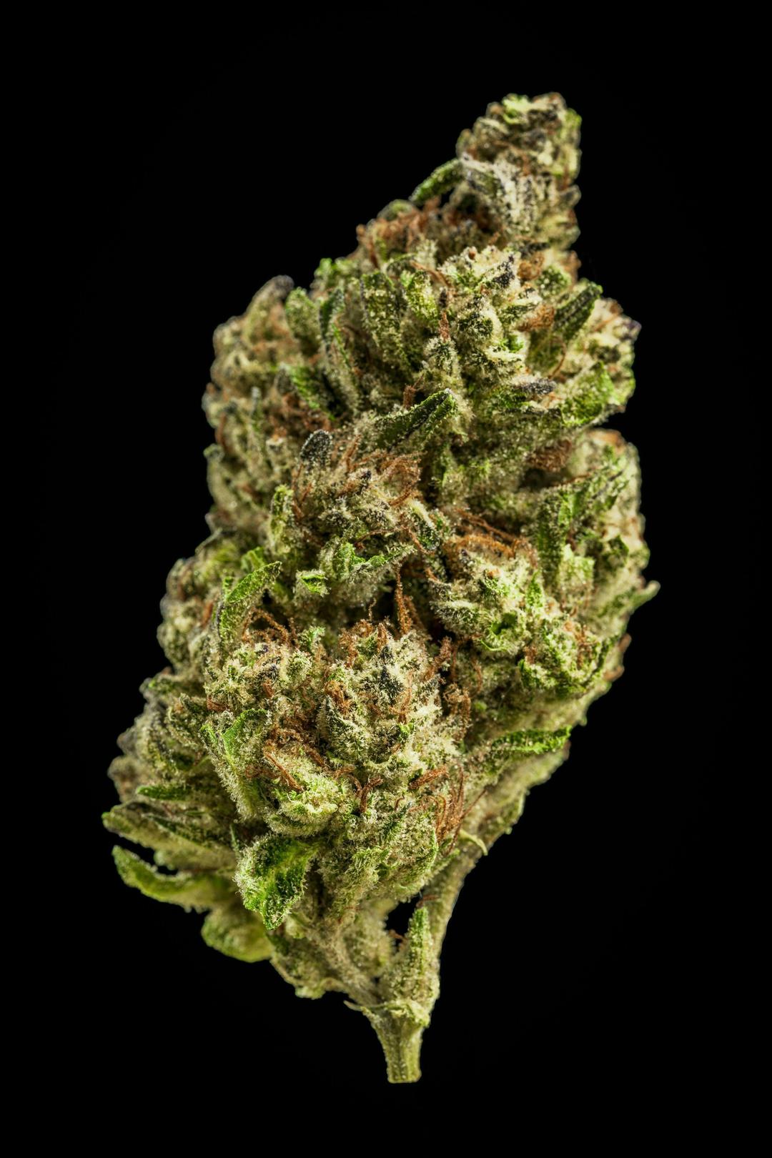 Farmer and the Felon | Flower Amalfi OG 1/8oz