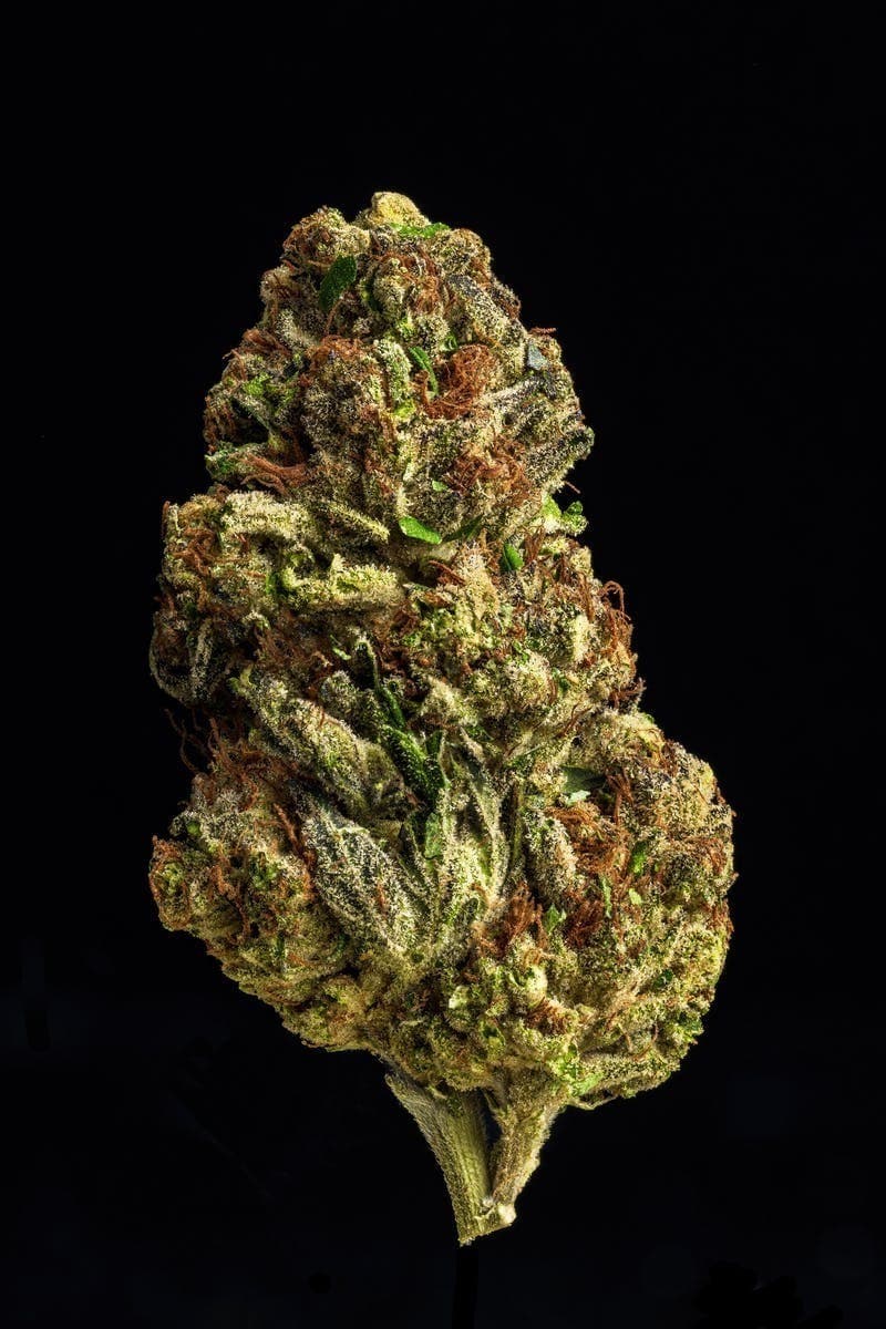 Farmer and the Felon | Flower Biscotti Pie 1/8oz