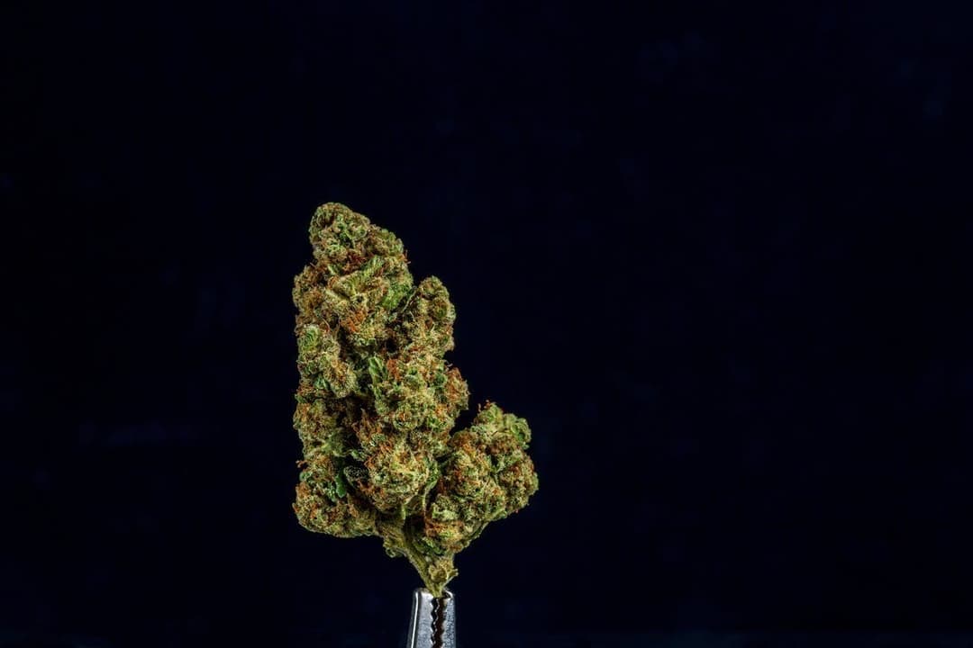 Farmer and the Felon | Flower Crushed Ice 1/8oz