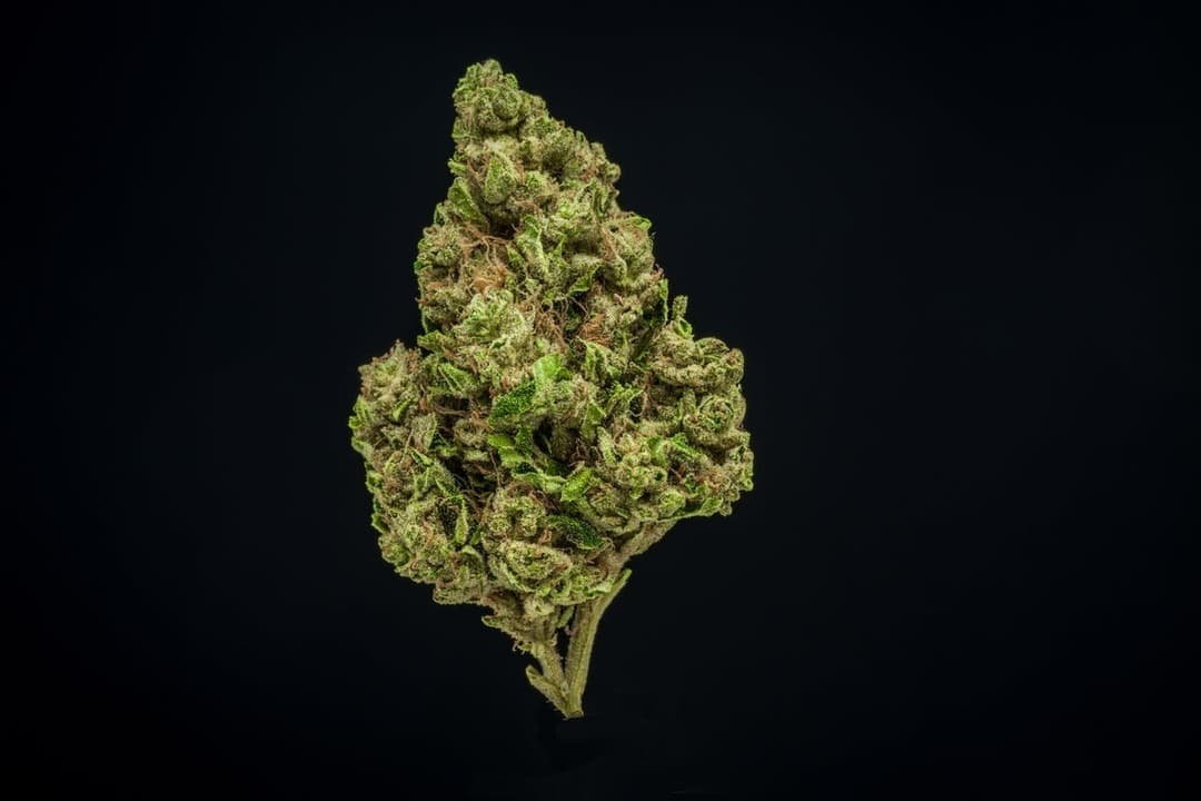 Farmer and the Felon | Flower DOC 15 1/2oz