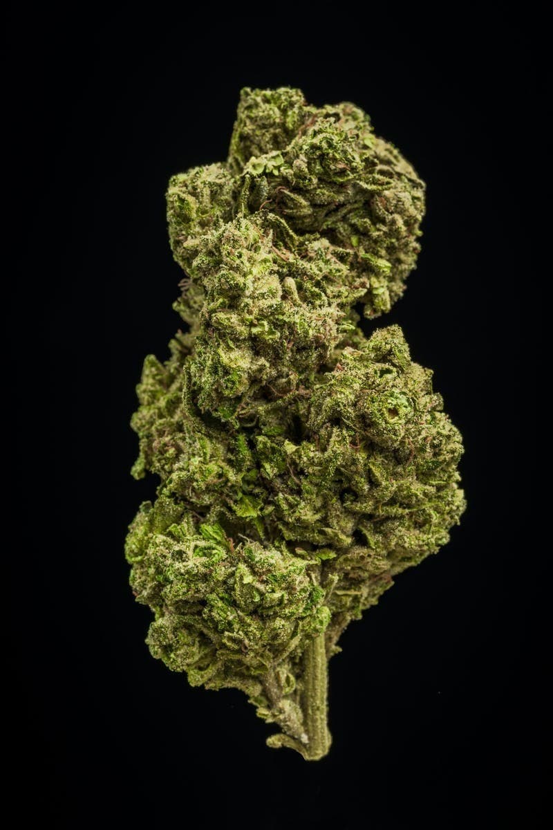 Farmer and the Felon | Flower God's Breath 1/8oz