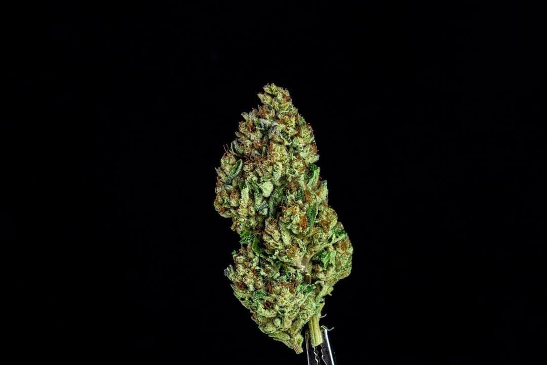Farmer and the Felon | Flower Grandi Guava 1/8oz