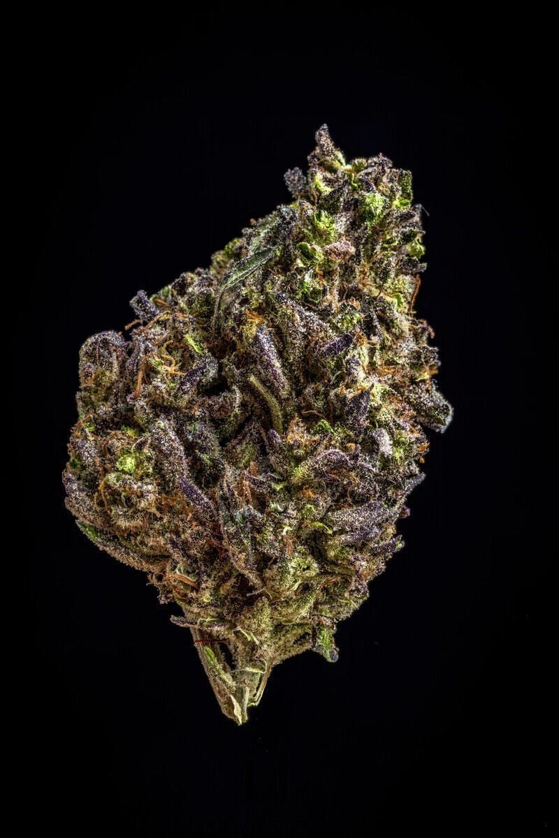 Farmer and the Felon | Flower Lemon Ghoul 1oz