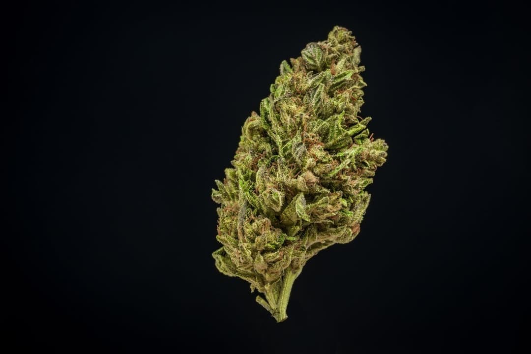 Farmer and the Felon | Flower LLOG 1/8oz