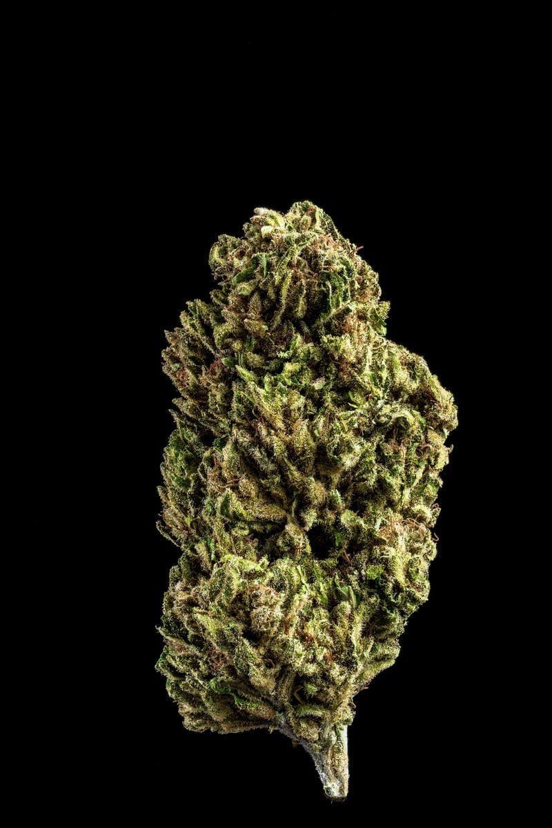Farmer and the Felon | Flower Sour Afghan 1/8oz