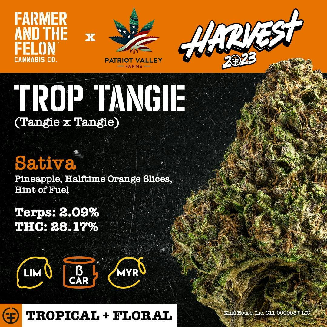 Farmer and the Felon | Flower Trop Tangie 1g