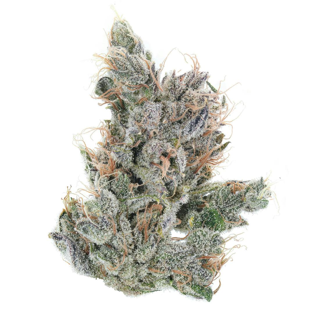 Ghost Train Haze