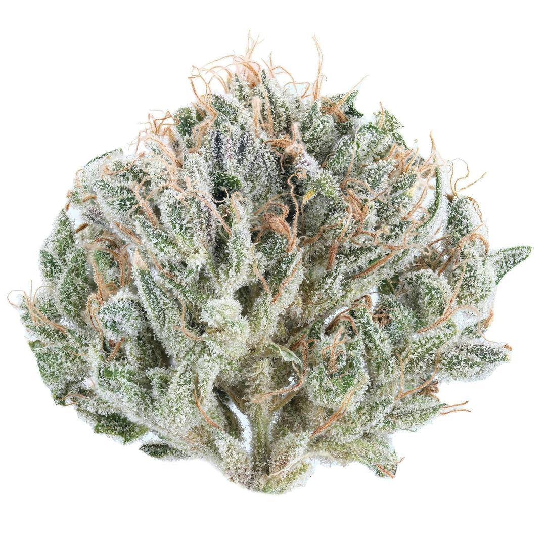 Ghost Train Haze #10