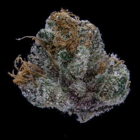 Lemon Cherry Gelato