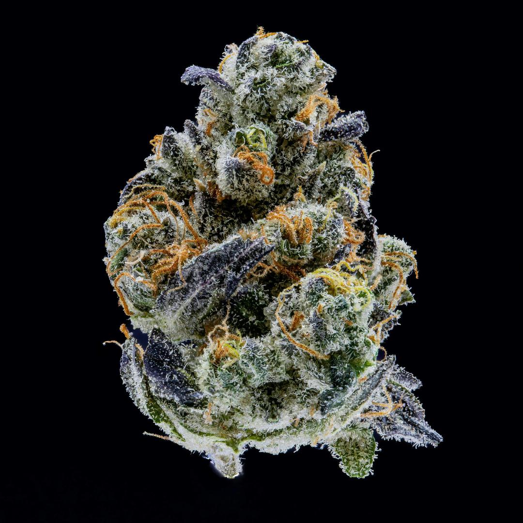 Sour Sniffits