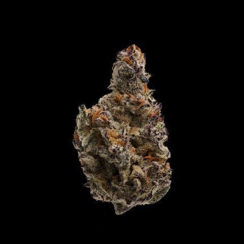 Truffle Devil