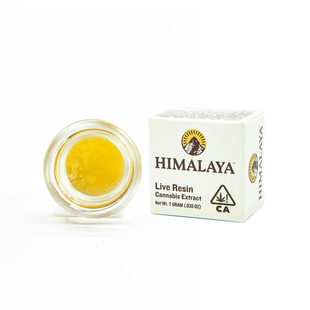 Blueberry Muffins (Live Resin Concentrate) - 1G