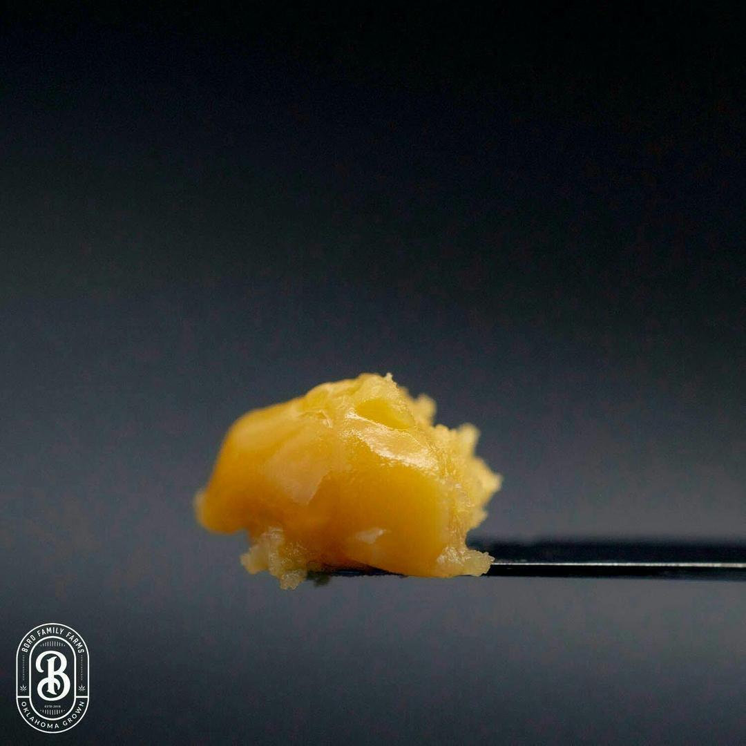 Blueberry Muffin - Live Batter - 1g