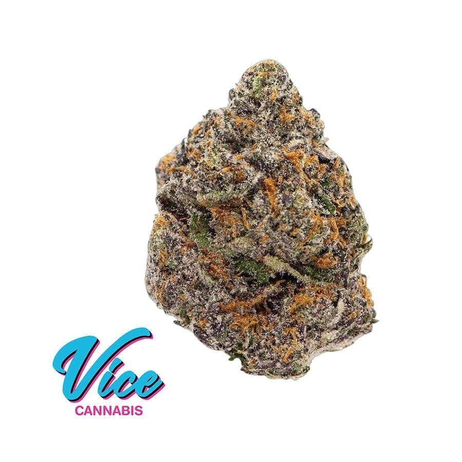 Black Cherry Gelato: Flower