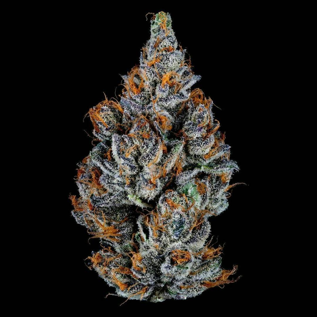 Fruit Stand: Flower (Maine Trees)