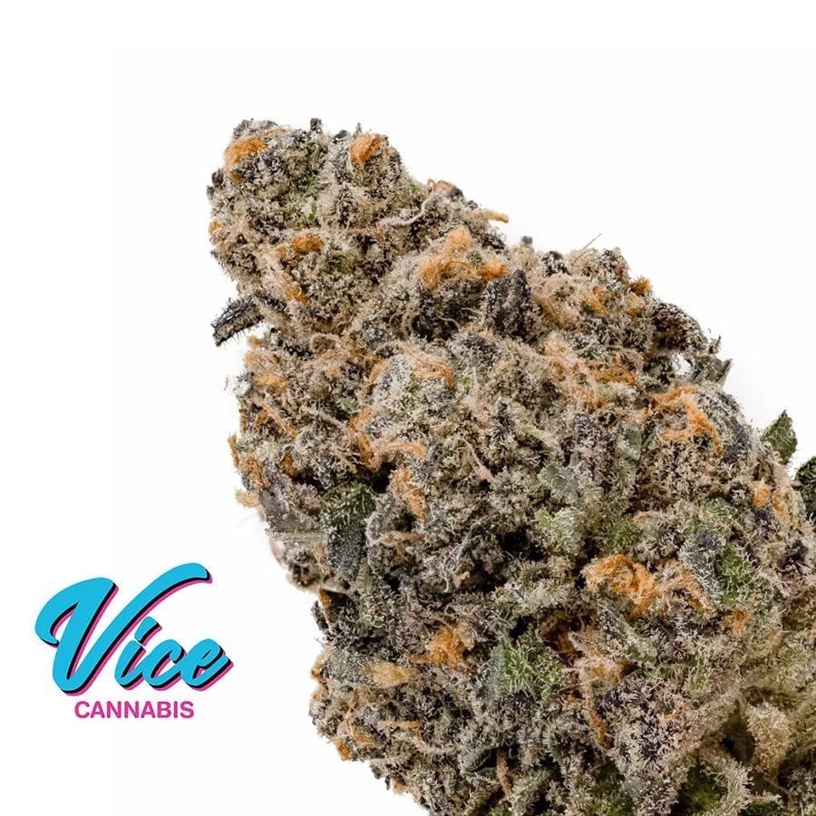 Gelato Runtz: Flower