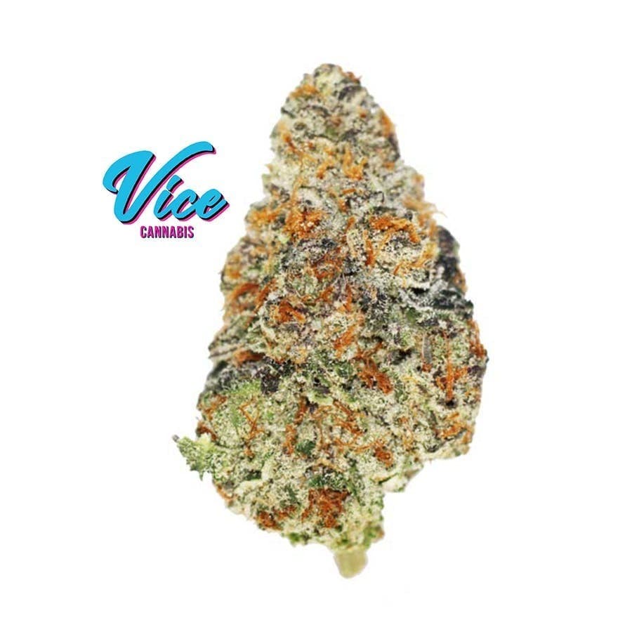 Gelonade (Lemon Tree x Gelato #41): Flower *Top Shelf SMALL BUDS*