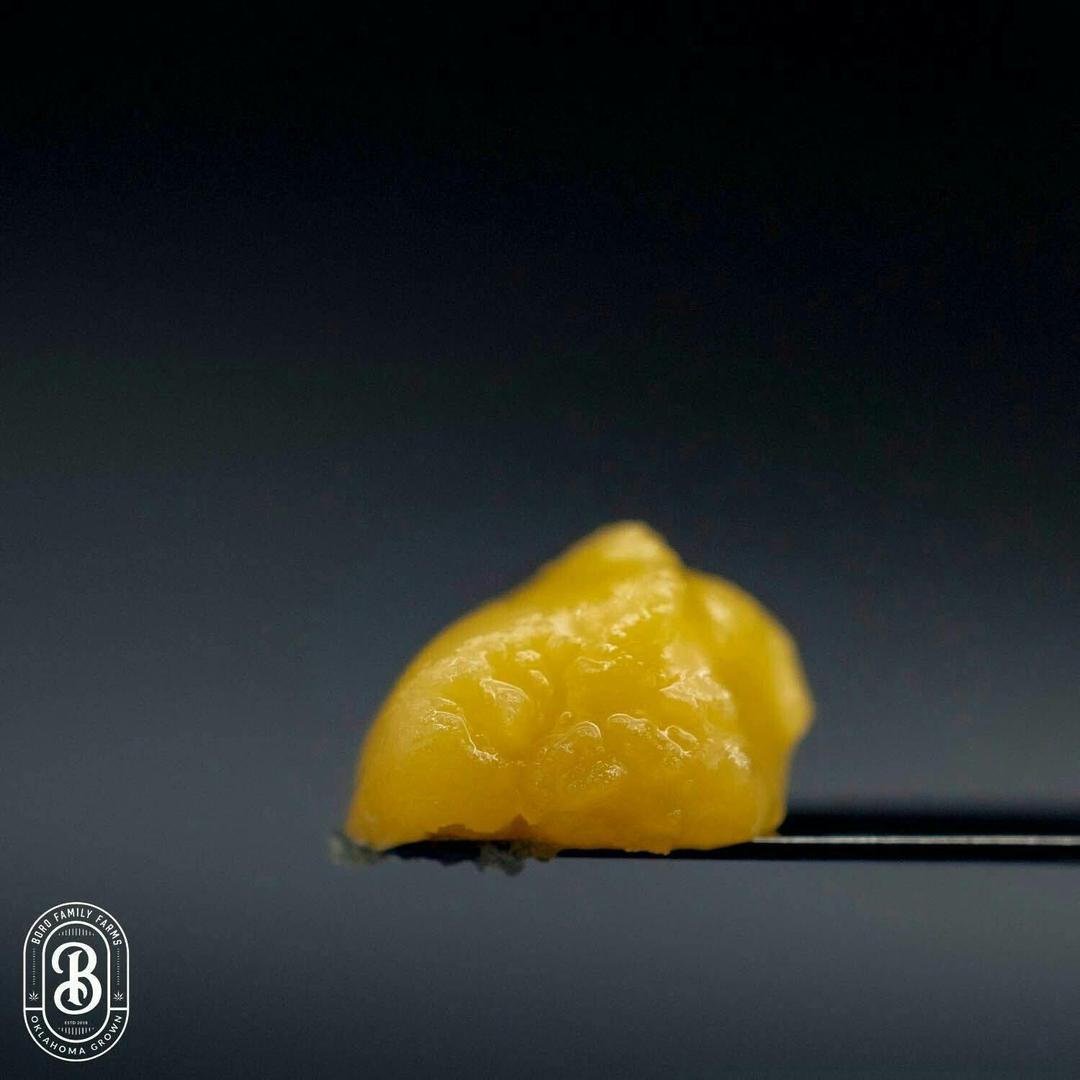 Papaya Punch x Tangie LIVE Batter - 1g