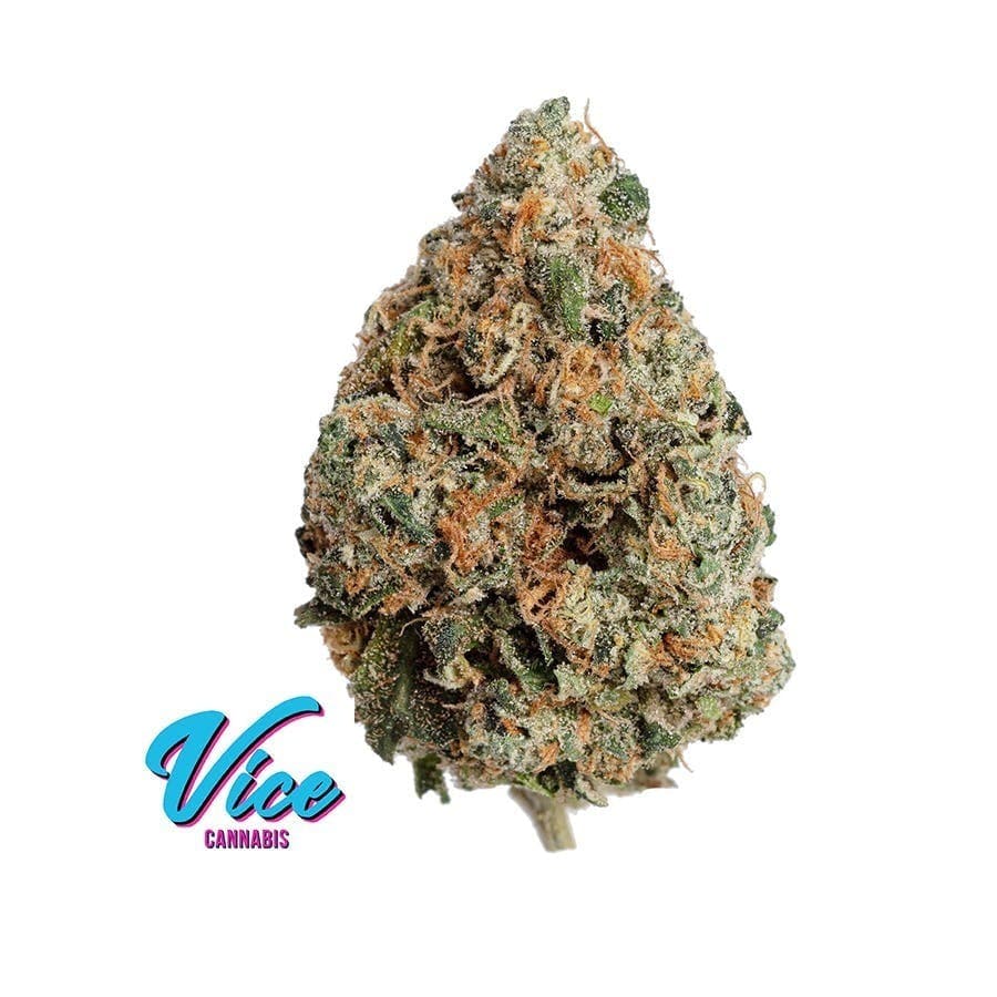 Italian Soda (GMO x Rootbeer): Flower *Top Shelf SMALL BUDS*