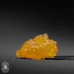 Wedding Cake x Sundae Driver - Ultra Refined Live Resin - 1g