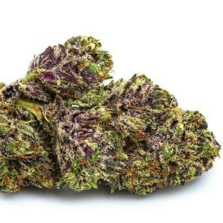 Purple Lambo (Purple Urkel & Triple OG): Flower *Top Shelf SMALL BUDS*