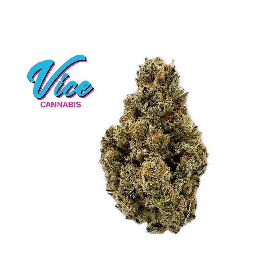 SS1 (Sunset Sherb x Gelato): Flower