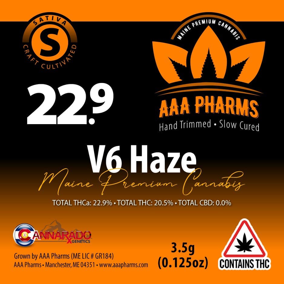 V6 Haze - Premium Flower
