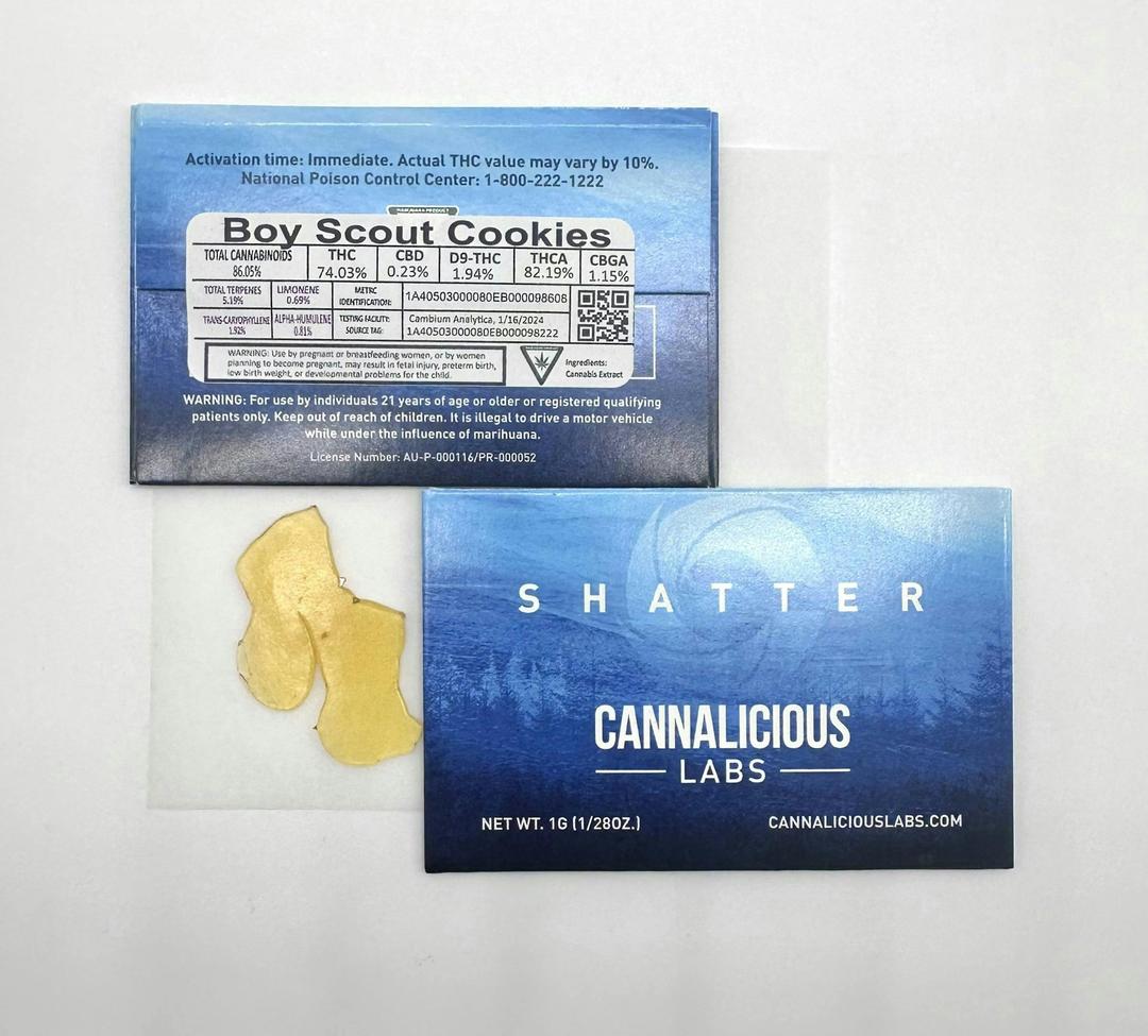 Boy Scout Cookie Shatter