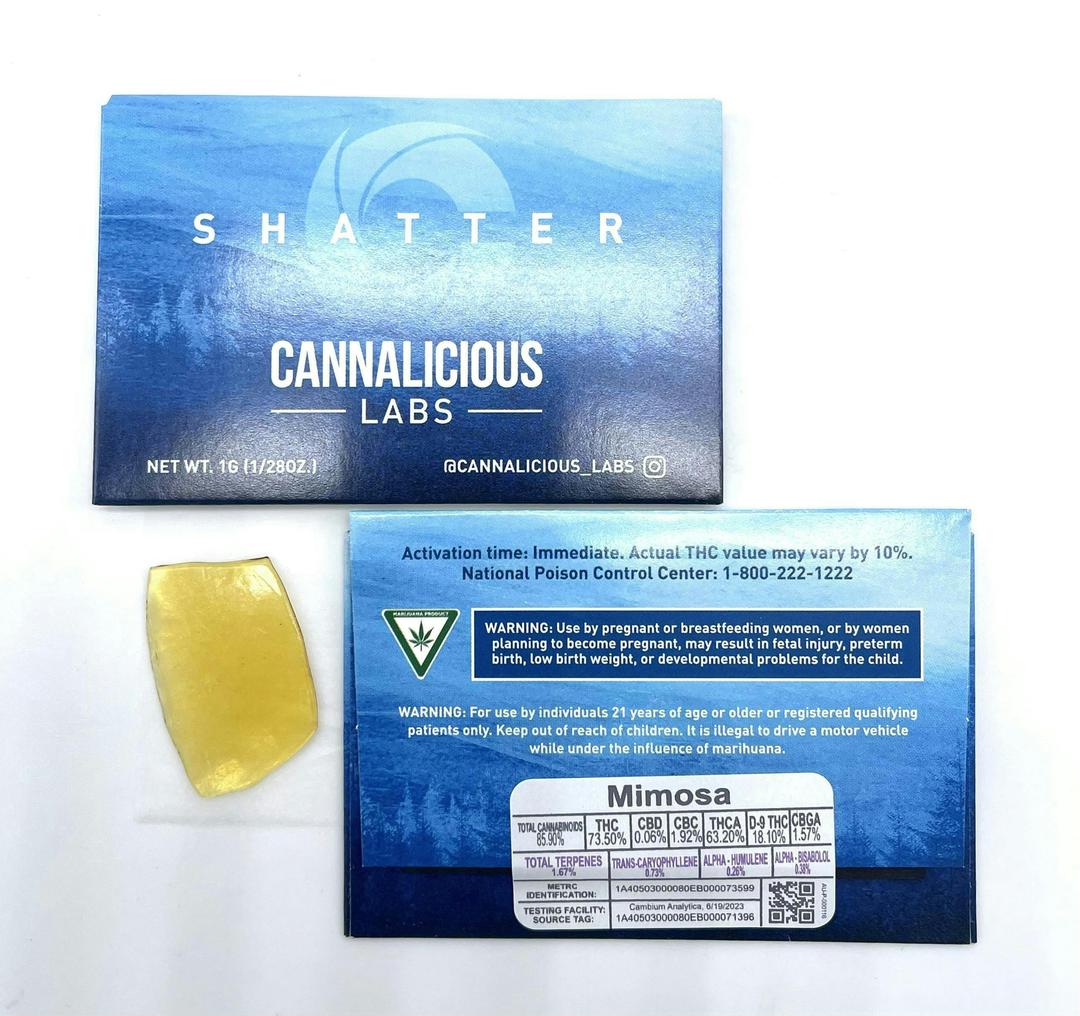 Mimosa Shatter