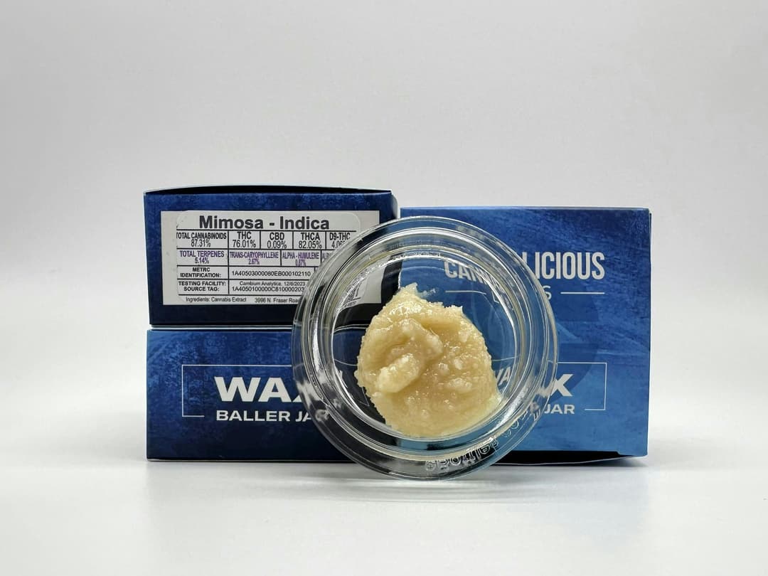 Mimosa Wax Baller Jar - Indica