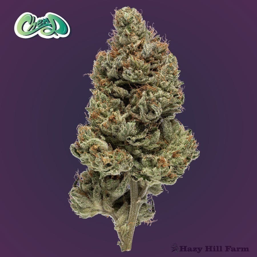 Chem D