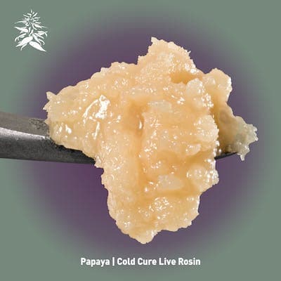 Papaya Cold Cure Live Hash Rosin