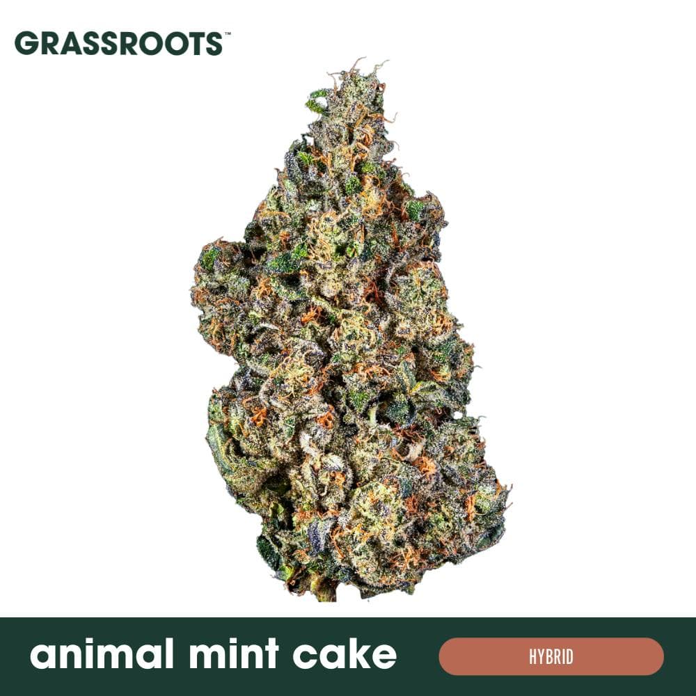 Animal Mint Cake - Flower