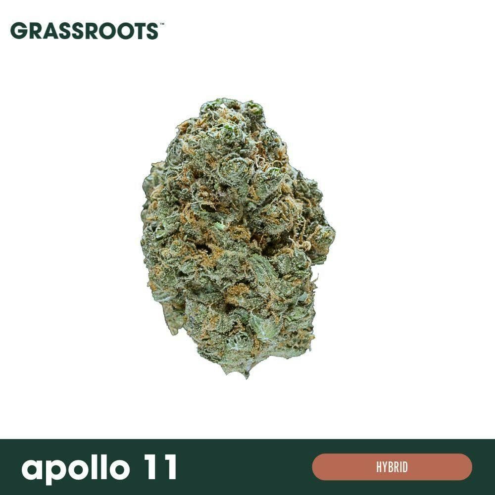 Apollo 11 Flower
