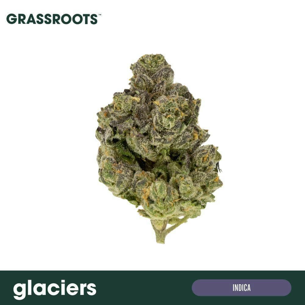 Glaciers Flower