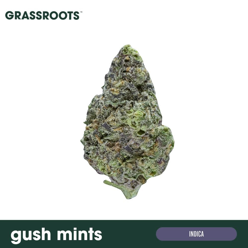 Gush Mints - Flower