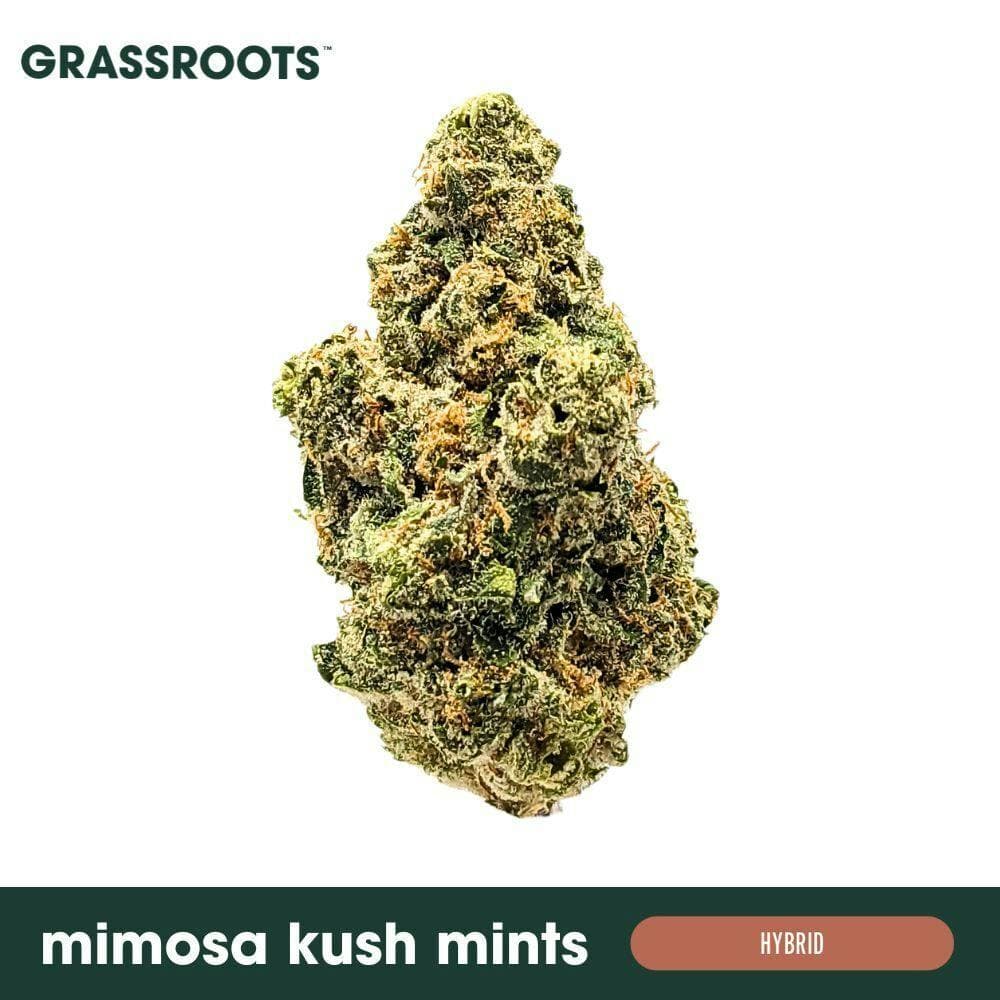 Mimosa Kush Mints - Flower