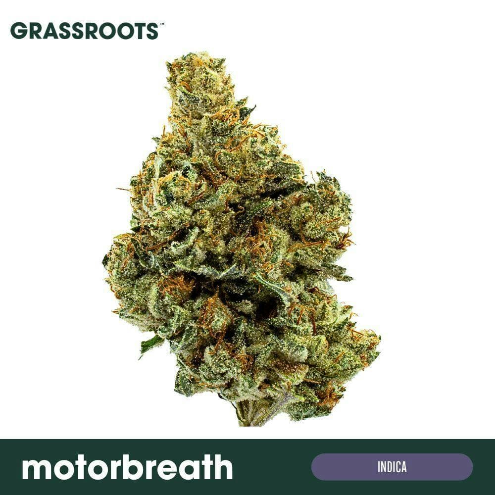 Motorbreath #15 Flower