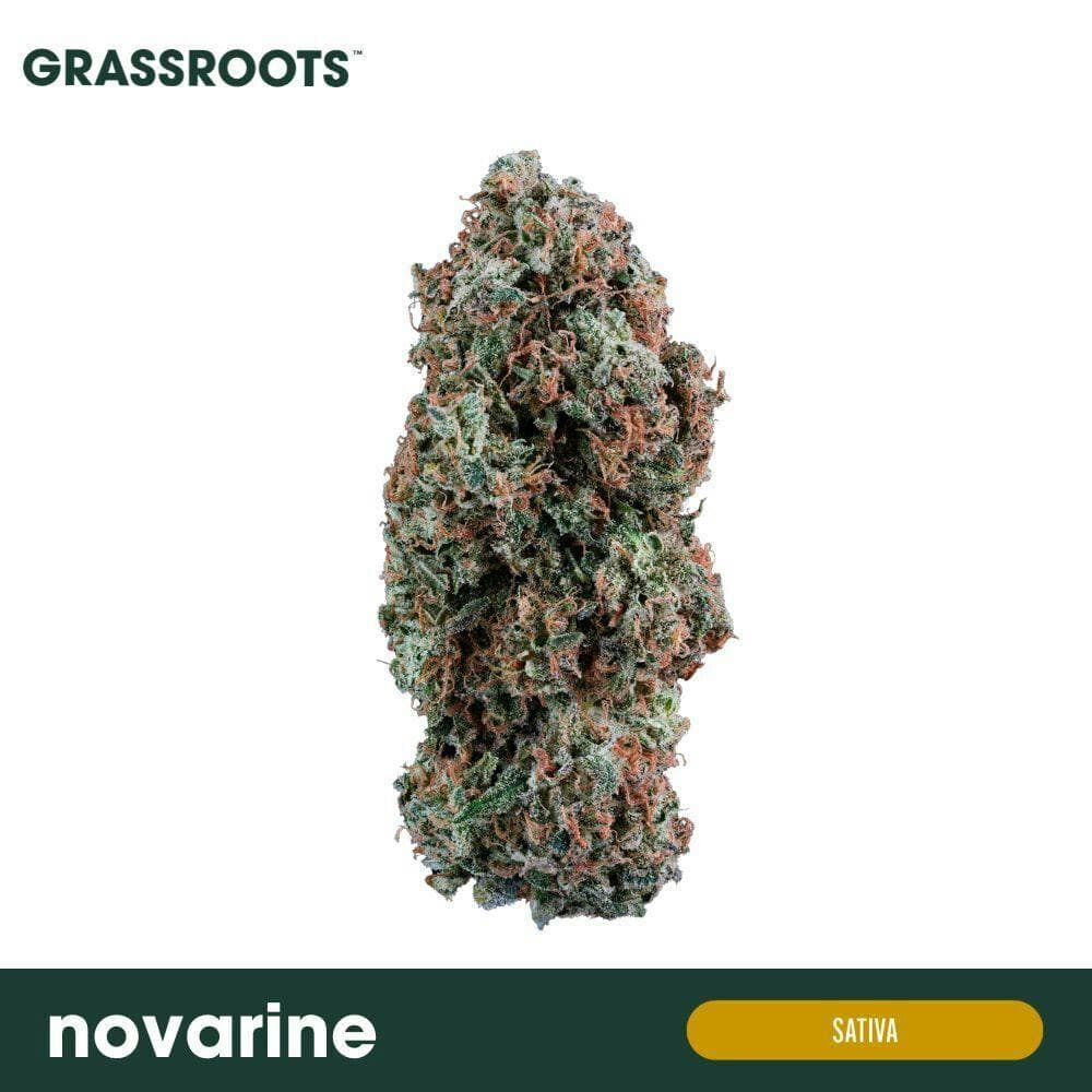 Novarine - Flower