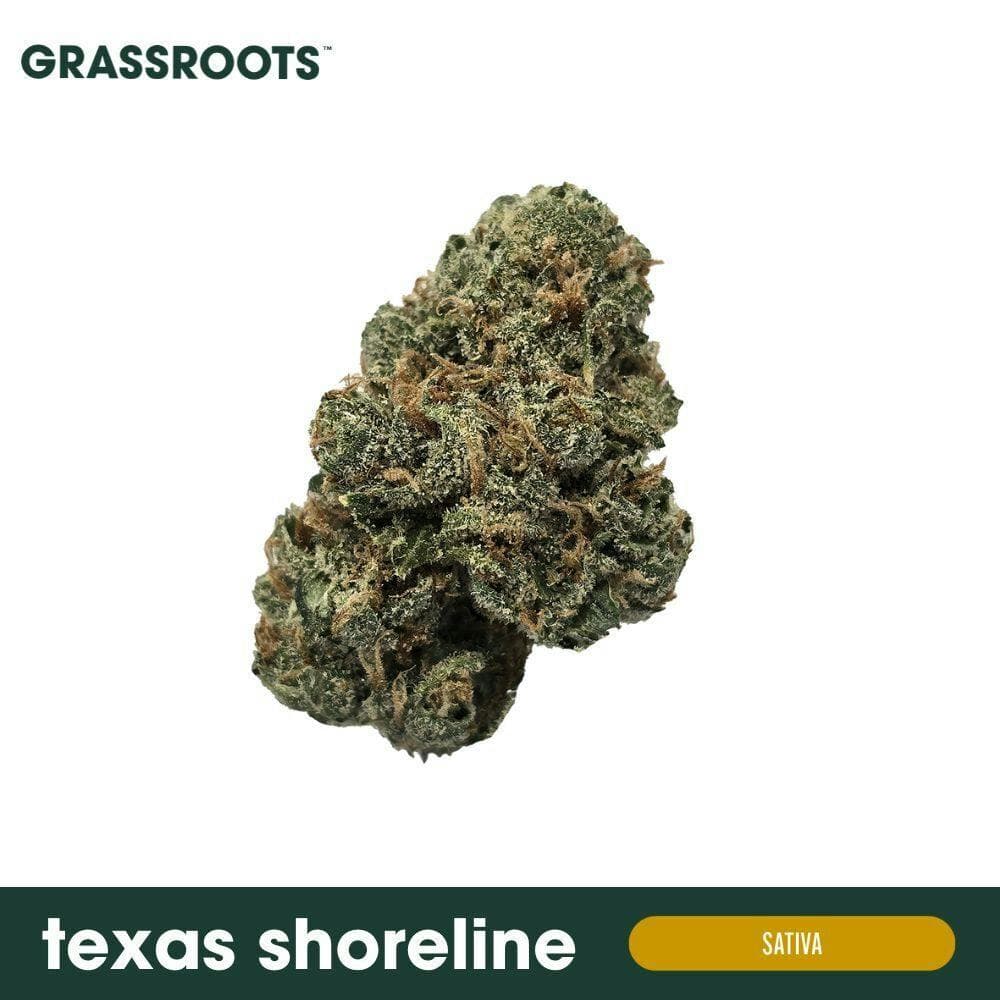 Texas Shoreline Flower