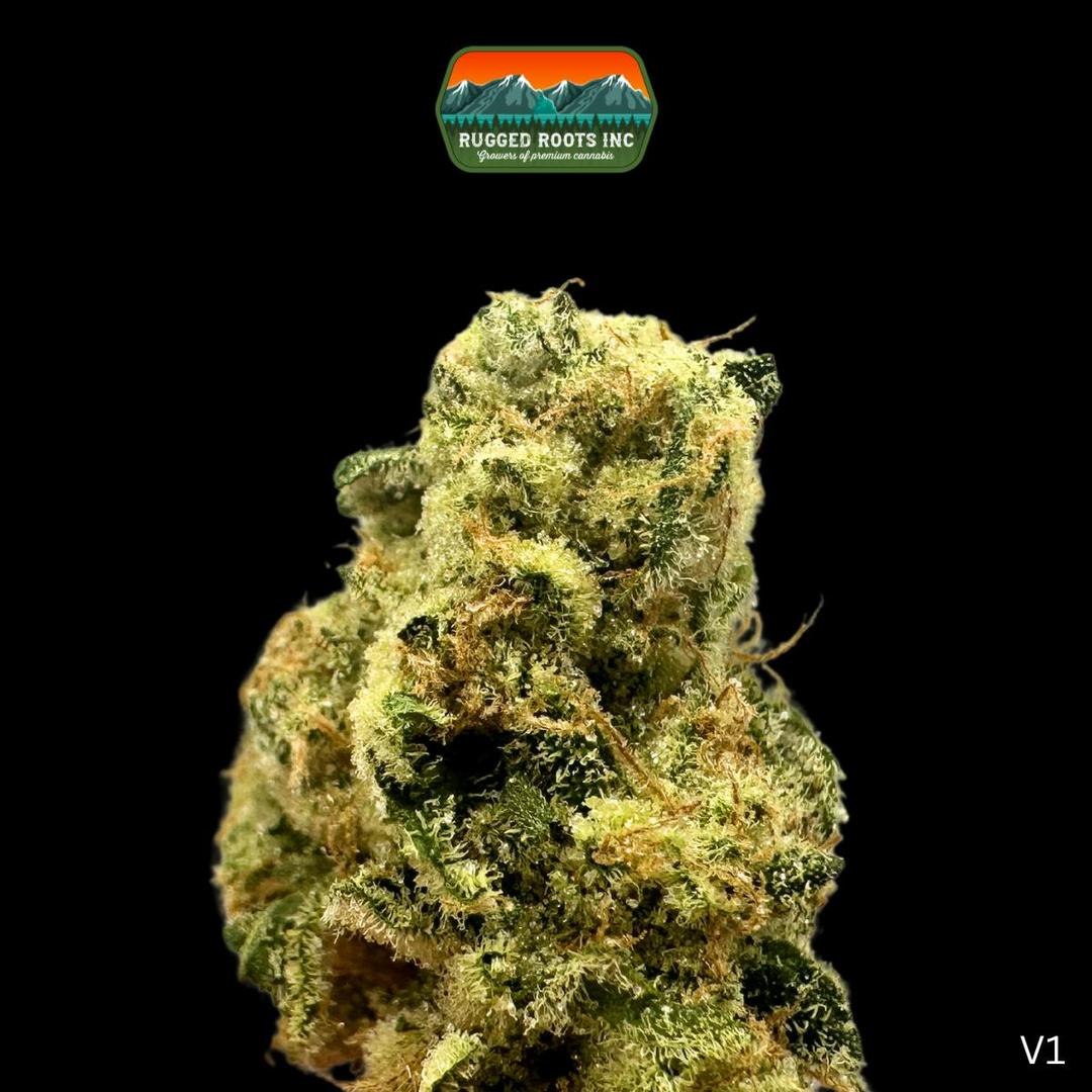 Rugged Roots | Catching Z’s 3.5g